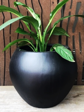 Evie Pot Black